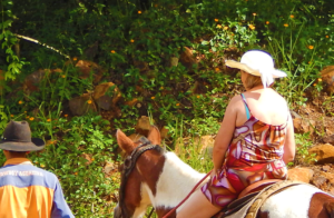 Saiba todos os benefícios de andar a cavalo