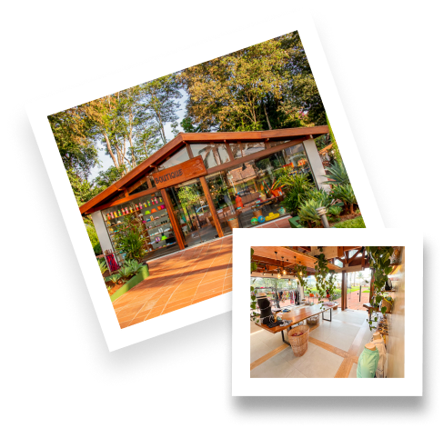 Imagem da linha do tempo do Aguativa Golf Resort.