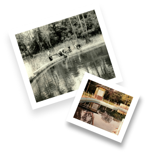 Imagem da linha do tempo do Aguativa Golf Resort.