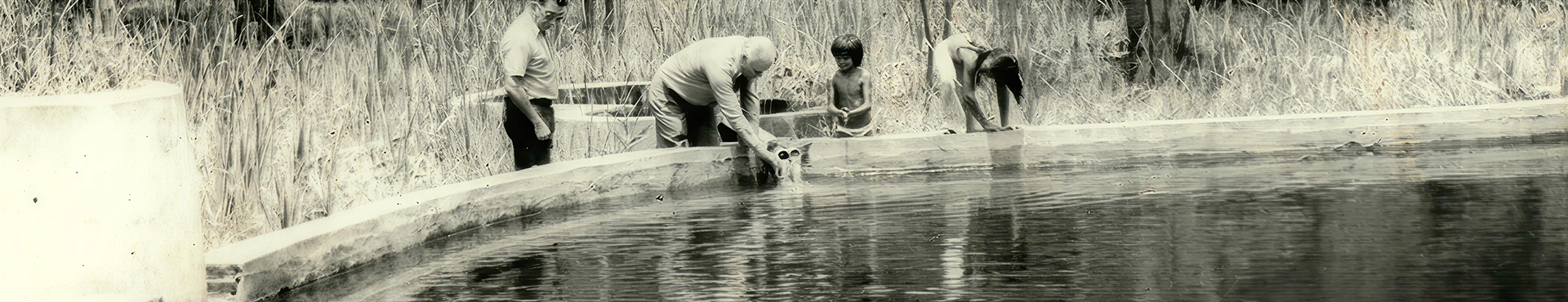 Fonte de água mineral